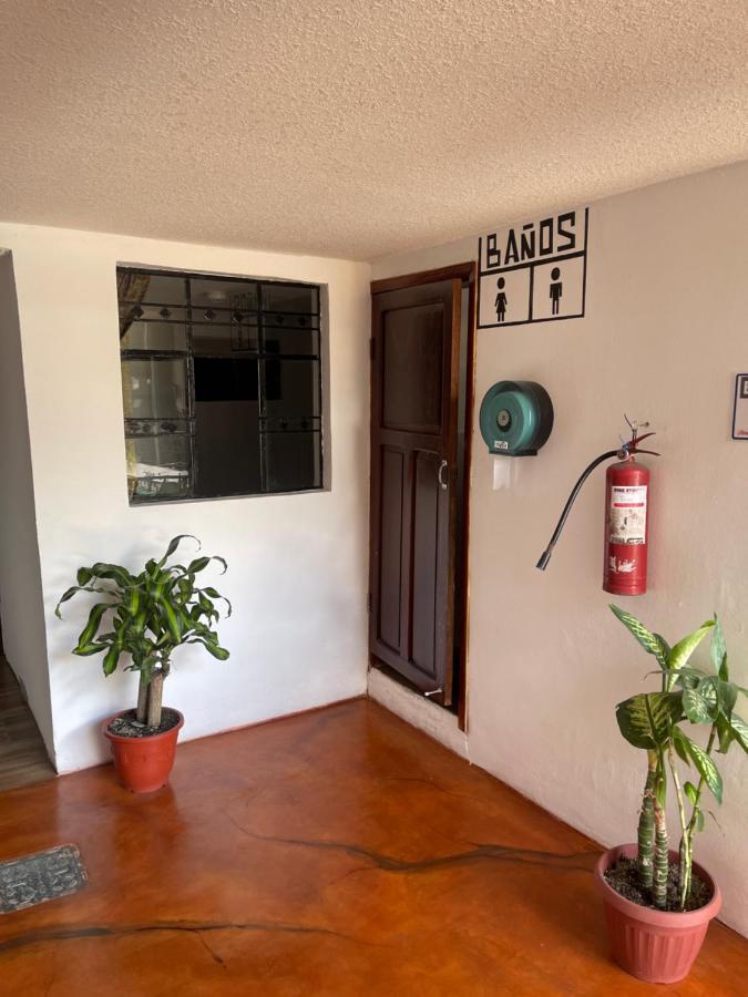 El Jardin Escondido Party Hostel بانيوس المظهر الخارجي الصورة